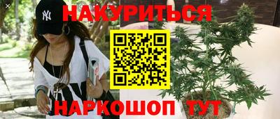 2c-b Гатчина