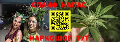 2c-b Гатчина
