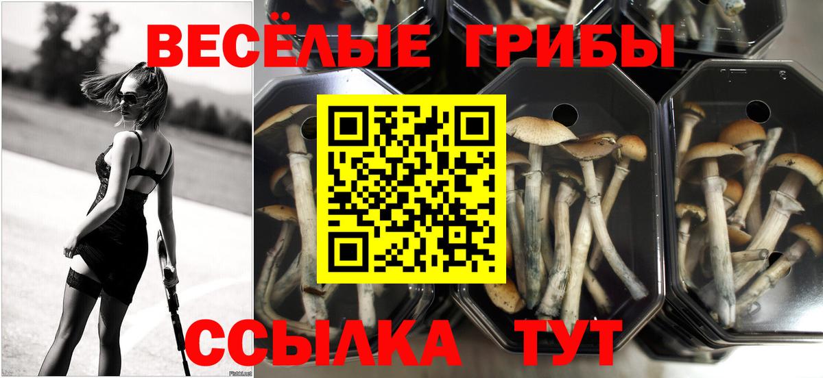 Галлюциногенные грибы MAGIC MUSHROOMS Новозыбков