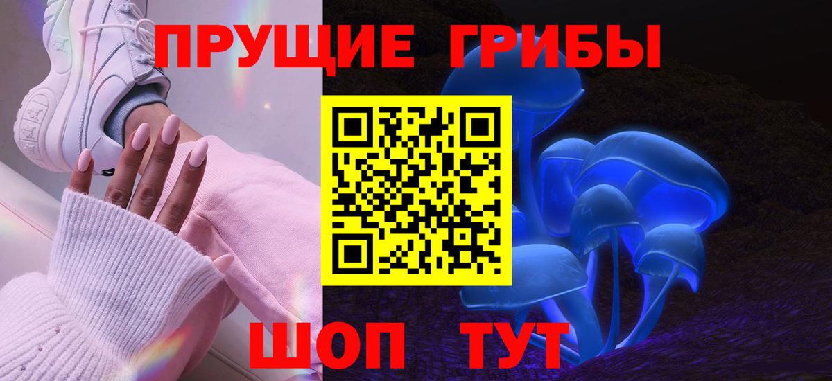 Псилоцибиновые грибы MAGIC MUSHROOMS  Вход с VPN  Новозыбков 